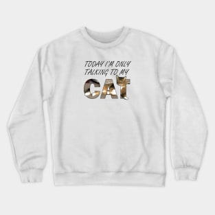 Today I'm only talking to my cat - Somali Abyssinian long hair cat oil painting word art Crewneck Sweatshirt